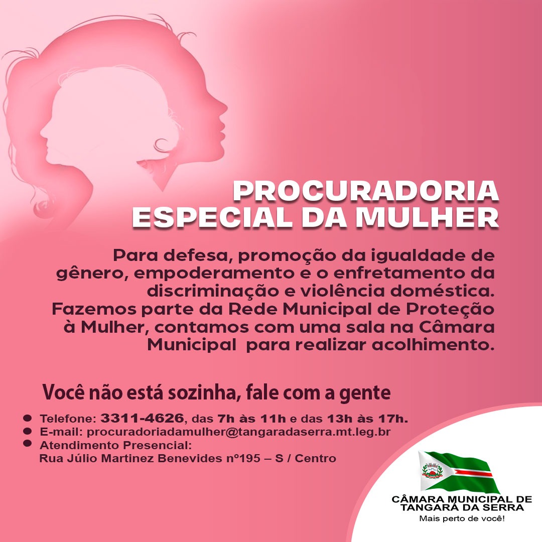 Procuradoria Especial da Mulher 